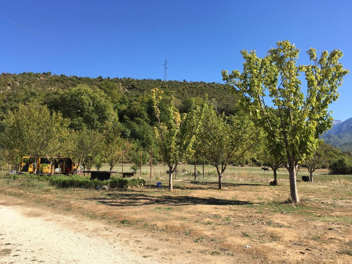 Albturist Ecocamping Permet & Outdoor Sports Center Ξενοδοχείο Εξωτερικό φωτογραφία